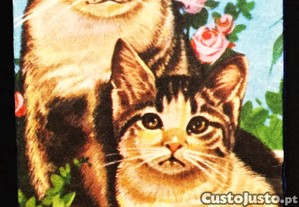 imagem_2