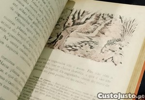 imagem_5