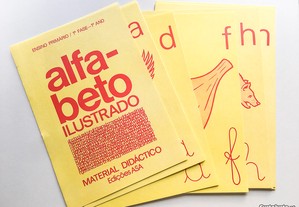 imagem_2