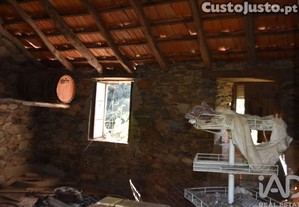 imagem_12