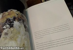 imagem_11