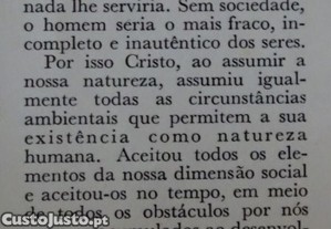 imagem_8