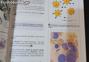 imagem_5