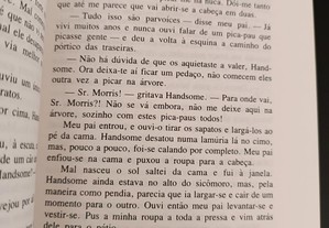 imagem_4