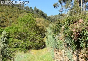 imagem_35