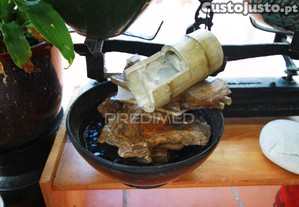 imagem_14