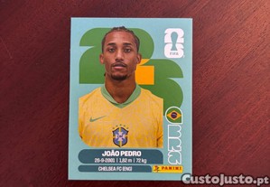 imagem_1
