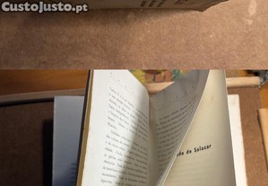 imagem_8