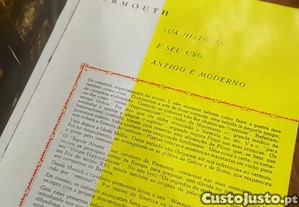 imagem_8