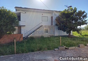 imagem_8