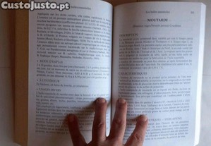 imagem_3