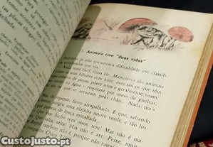 imagem_7