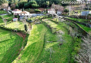 imagem_13