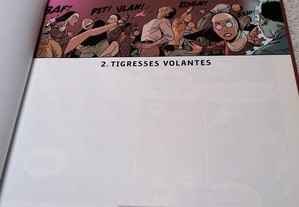 imagem_4