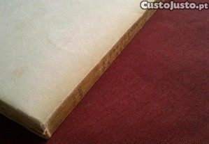 imagem_7