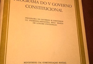 Maria de Lourdes Pintassilgo - Programa de governo