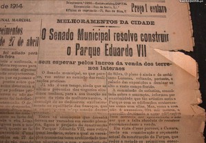 imagem_4
