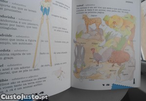 imagem_4