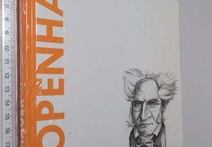 Schopenhauer (O pessimismo torna-se filosofia) -