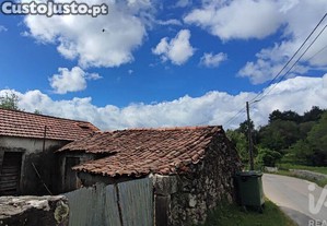 imagem_19