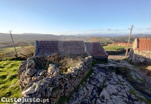 imagem_11