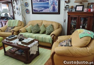 imagem_6