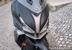 imagem_2