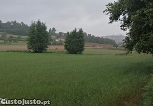 Terreno agrícola