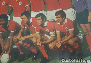 imagem_5