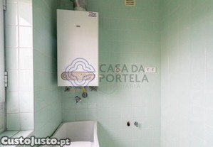imagem_15