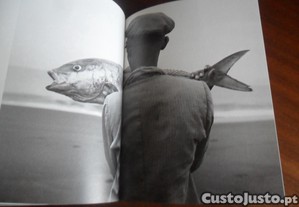 imagem_9