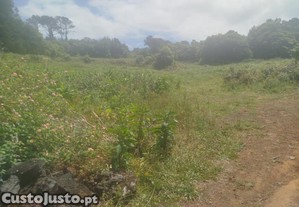 Terreno Pinheira - Rua da Bragada - Santo Antnio