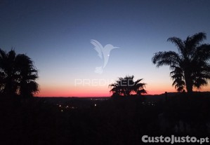 imagem_28