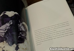 imagem_8