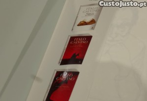 imagem_3