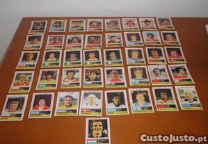 imagem_1