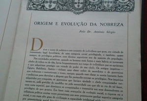 imagem_19