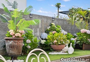 imagem_37