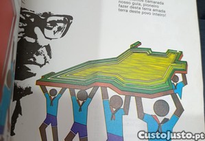 imagem_7