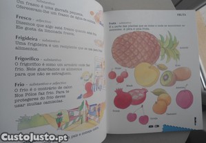 imagem_8