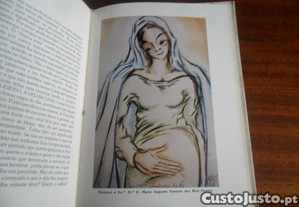 imagem_8