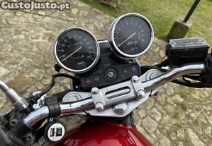 imagem_3