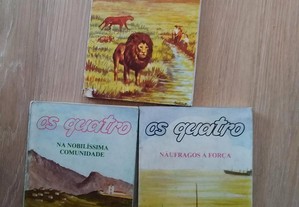 imagem_3