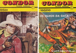imagem_3