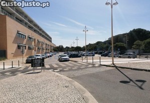imagem_19