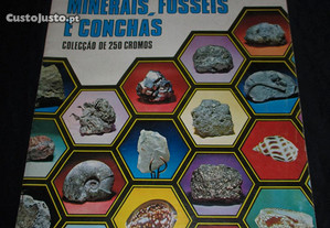 Mineralogia Minerais Fósseis e Conchas 1977