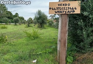 imagem_8