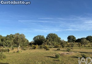 imagem_26
