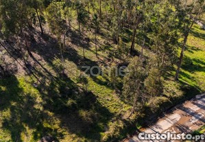 Terreno Com 4380M2 A 10 Minutos Do Centro De Braga