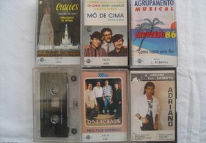 imagem_8